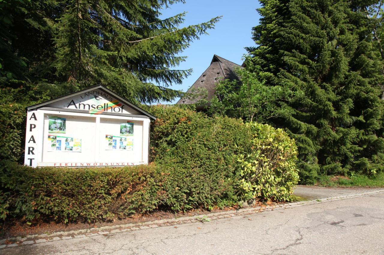 Landhaus Amselhof Hinterzarten Dış mekan fotoğraf