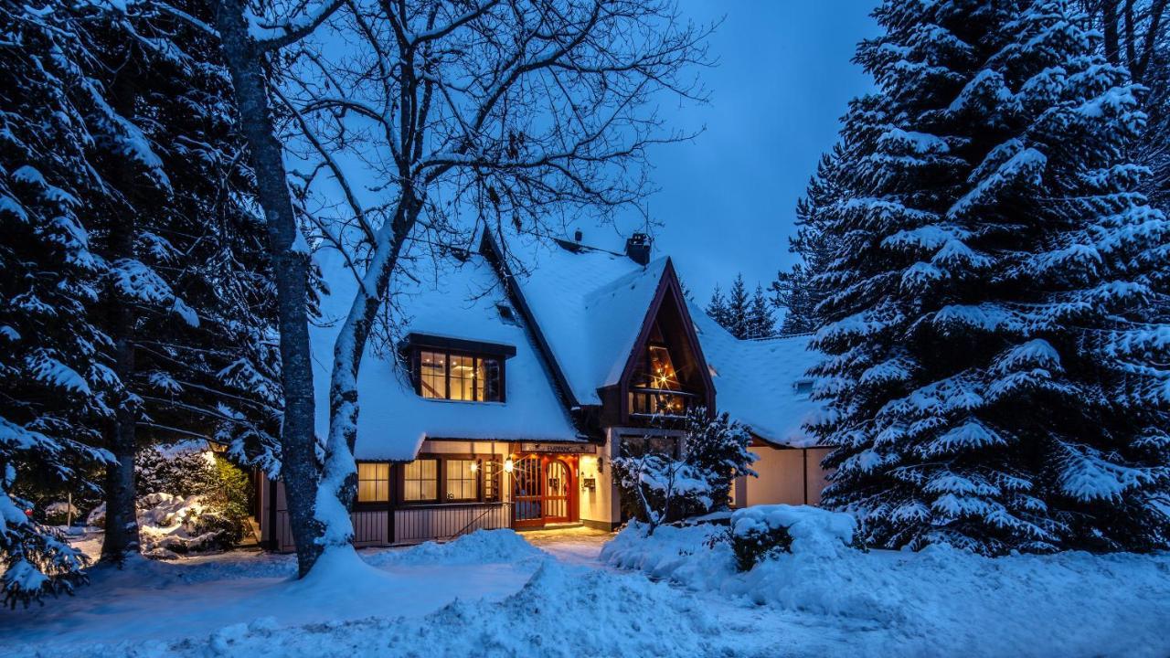 Landhaus Amselhof Hinterzarten Dış mekan fotoğraf